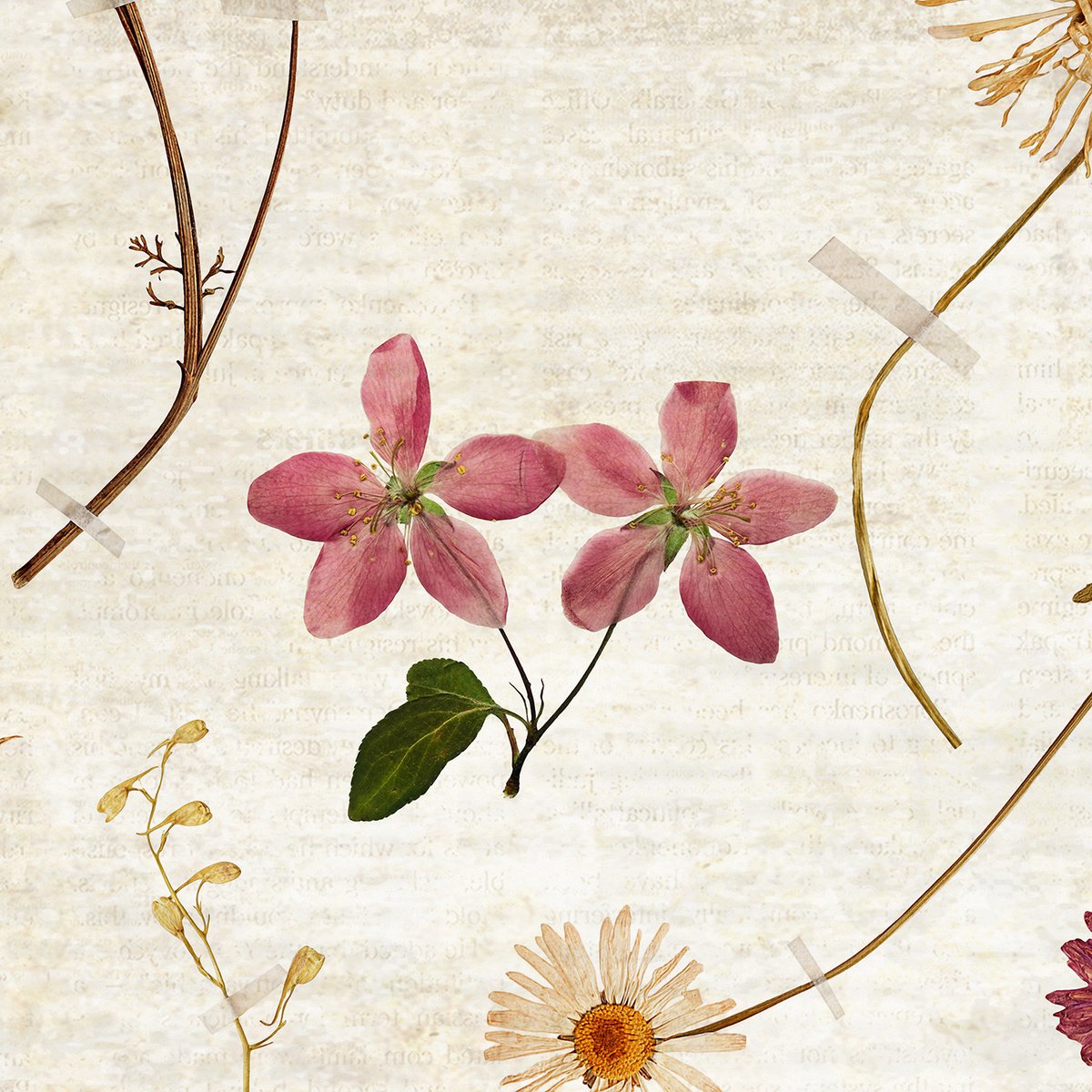 Papier peint panoramique HERBARIUM multicolore, LE PAPIERS DE NINON