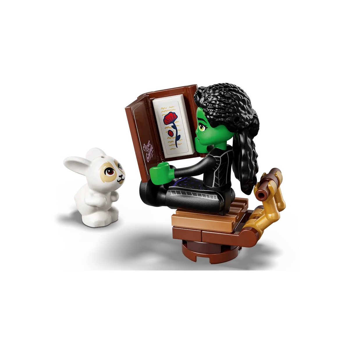 LEGO Wicked - Le repaire d'Elphaba - 75687 couleur unique, LEGO