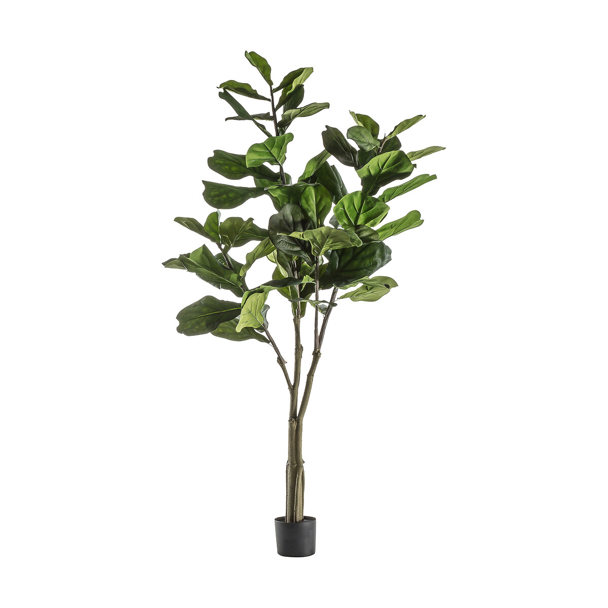 120cm Artificial Fiddle Tree green, ÉDITÉ