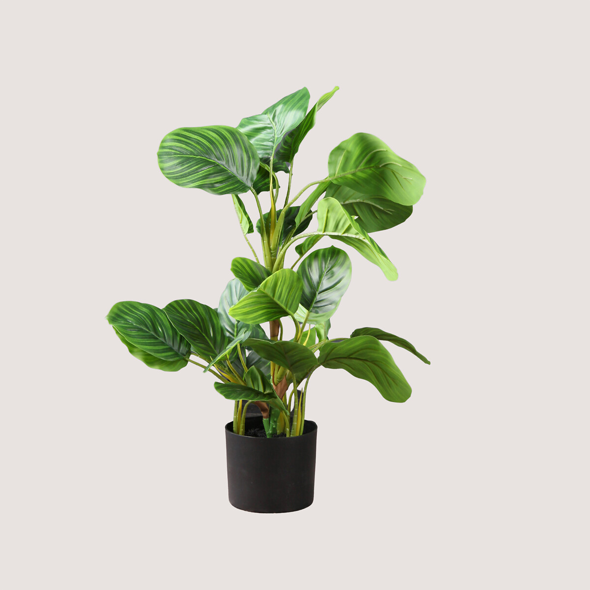 70cm Artificial Real Touch Arrowroot and Maranta Plant green, SO'HOME