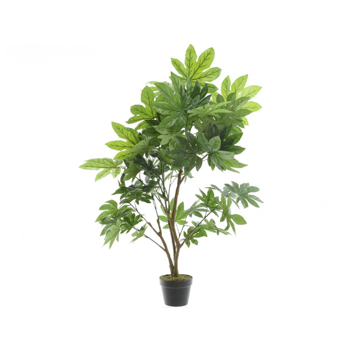 Plante Artificielle Aralie En Pot - Nos Envie Déco vert, JARDIDECO