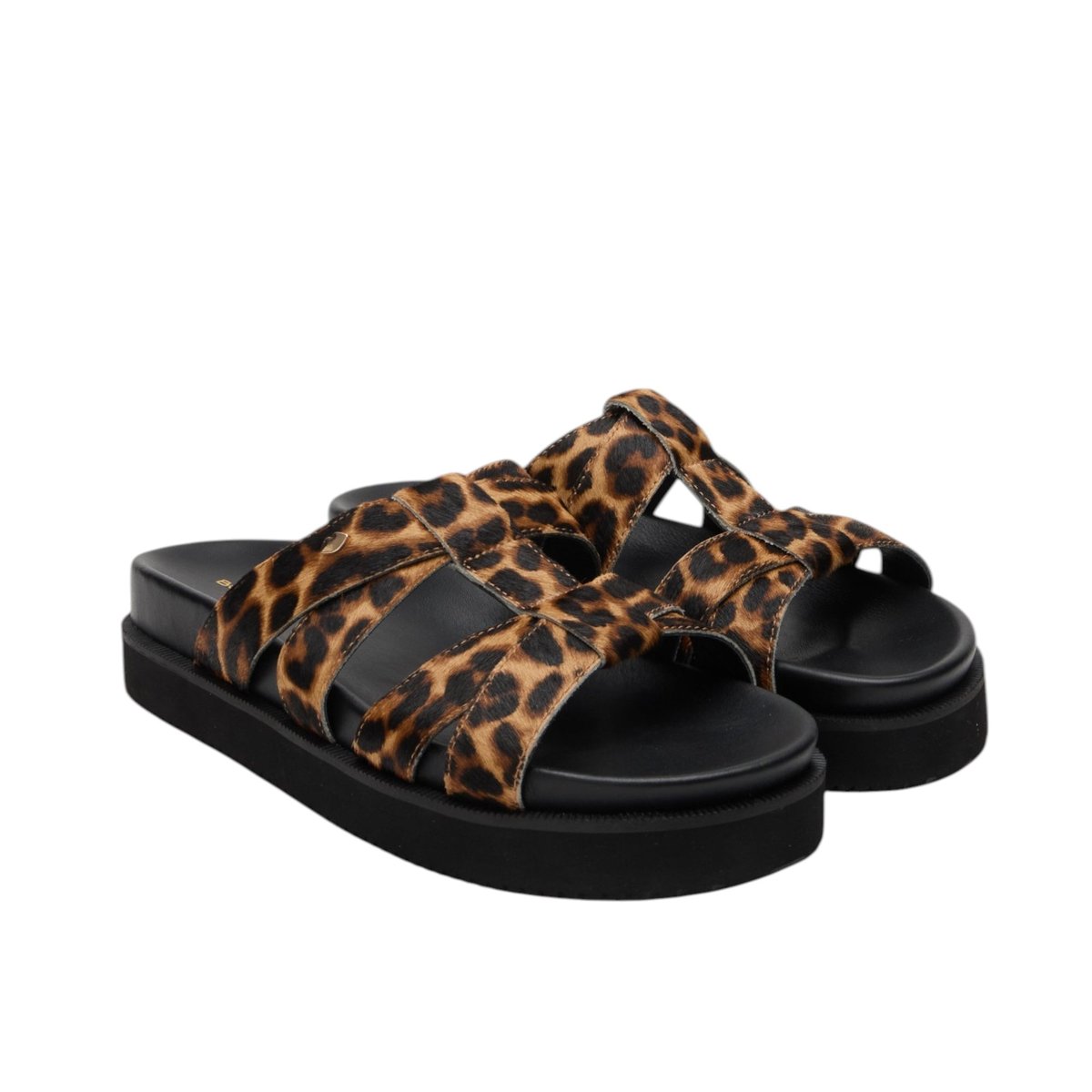 Helena Cuir leopard, BONS BAISERS