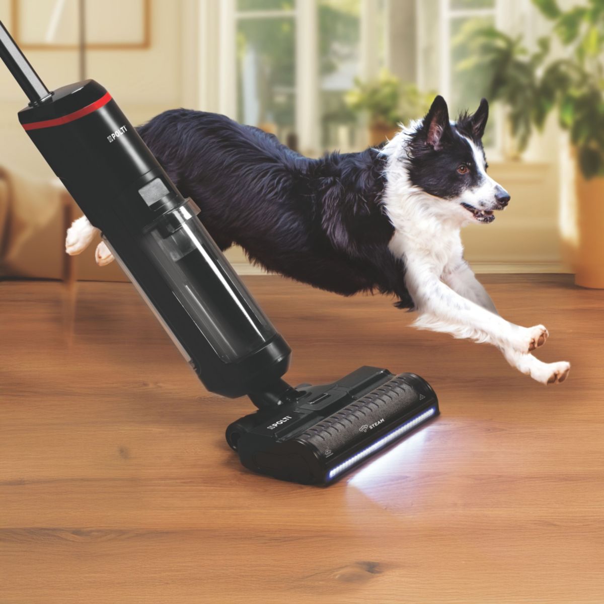 Aspirateur laveur RollySteam WD40C sans fil avec fonction vapeur couleur unique, POLTI
