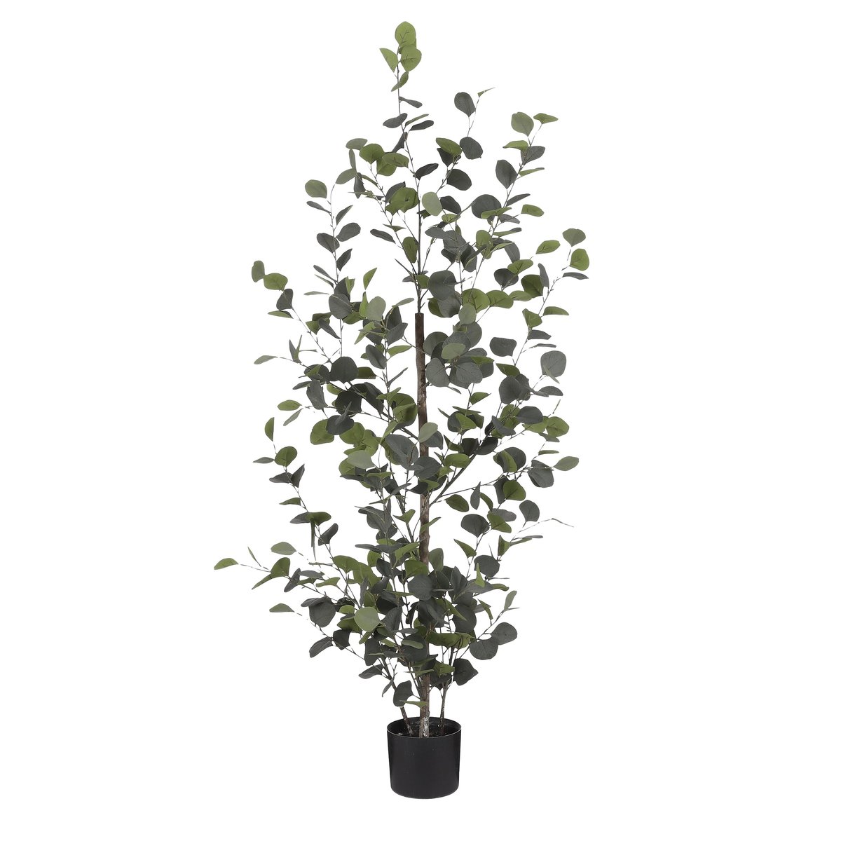 Plante artificielle EUCALYPTUS vert, MICA DECORATIONS