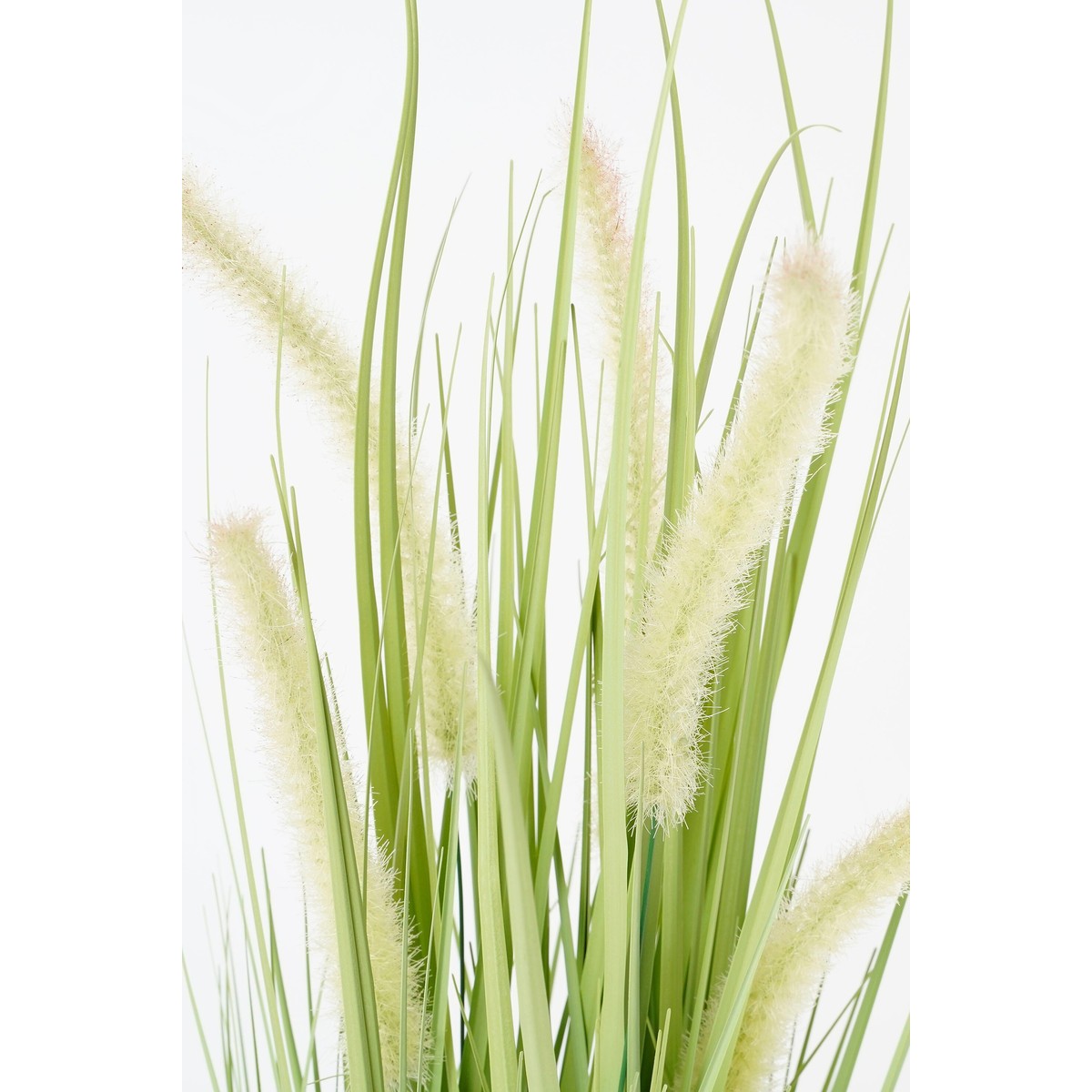 Plante artificielle DOGTAIL vert, MICA DECORATIONS