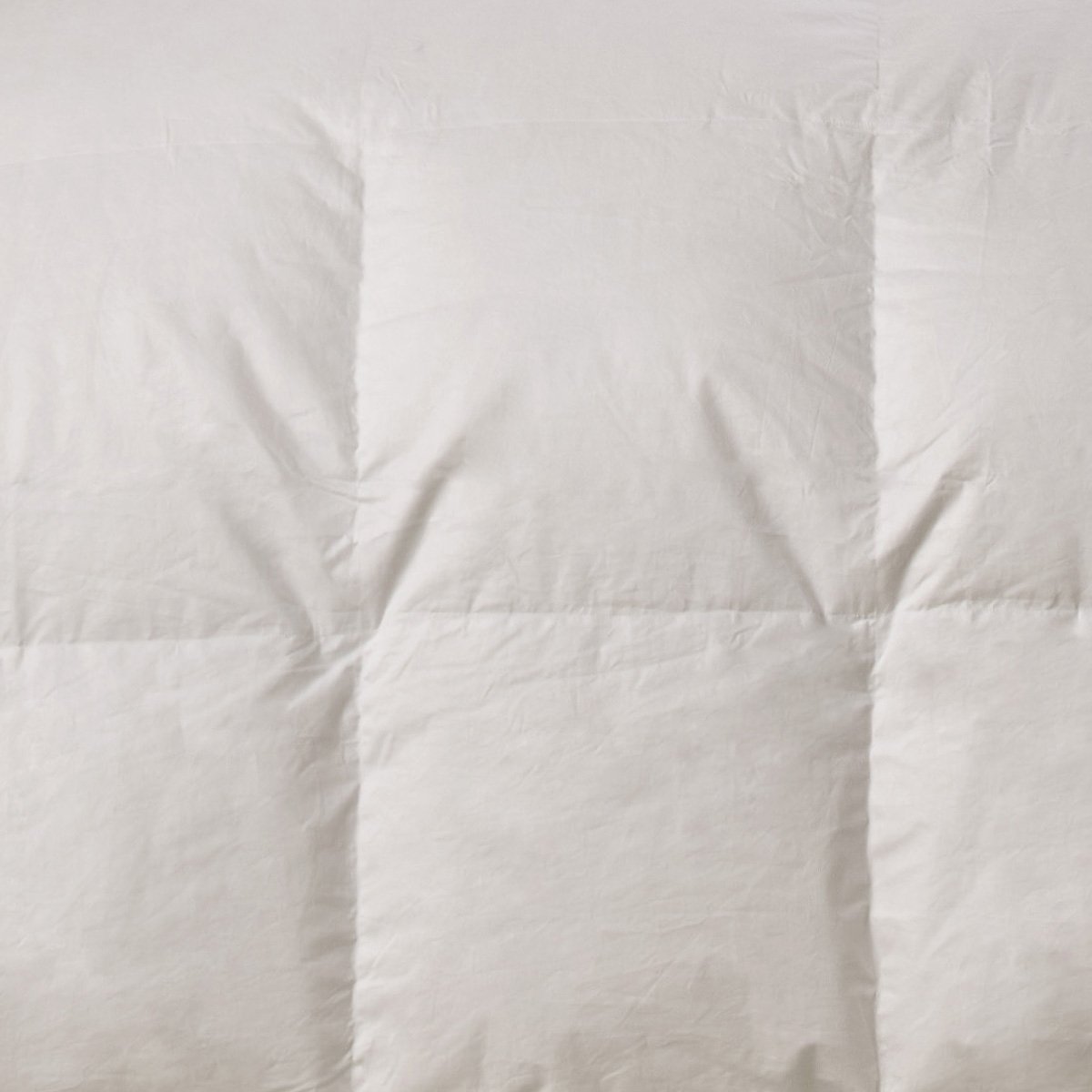 Couette naturelle duvet chaude et gonflante 90% DUVET DE CANARD blanc, BLEU CALIN