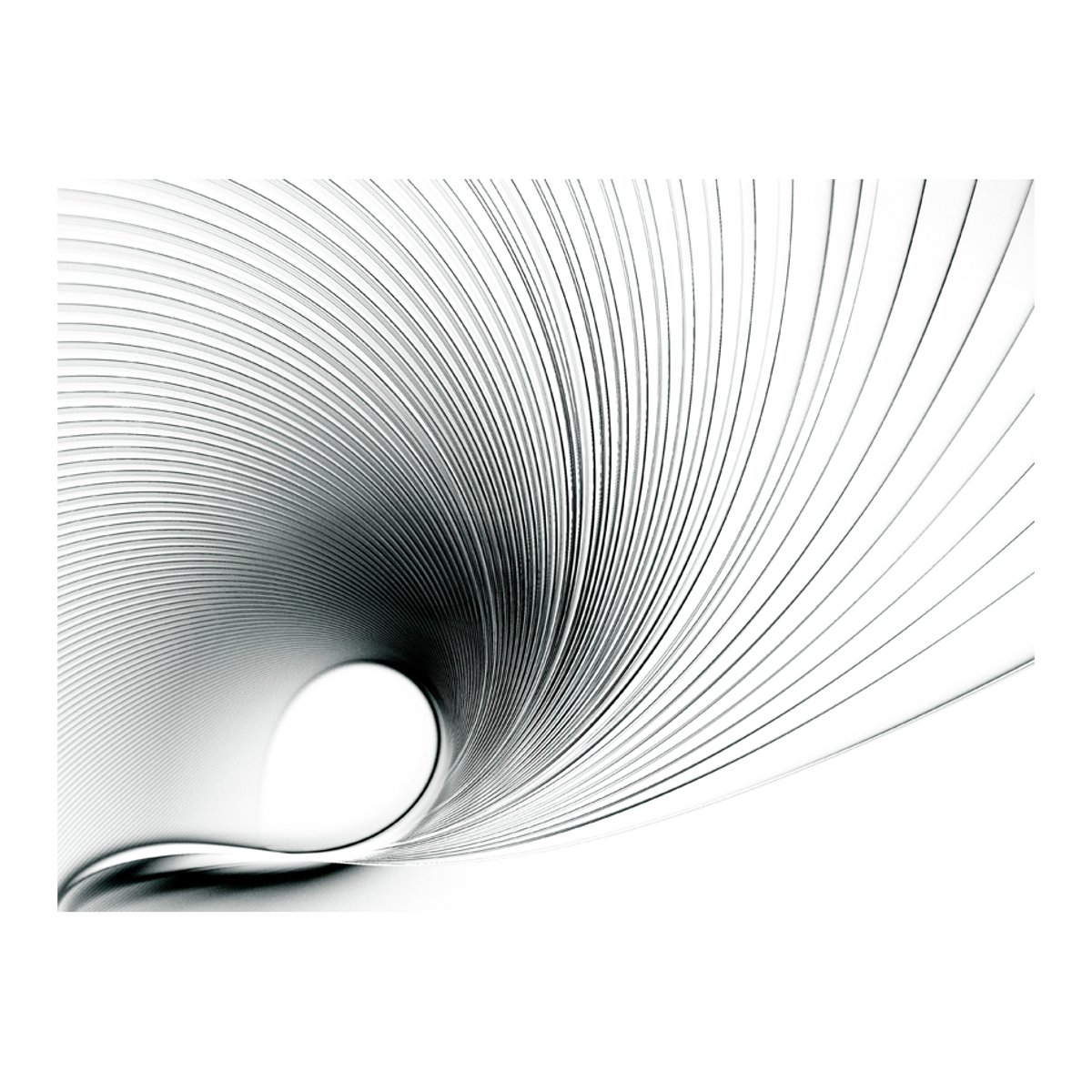 Papier peint intissé panoramique Abstractions Abstract fan noir, EDEN