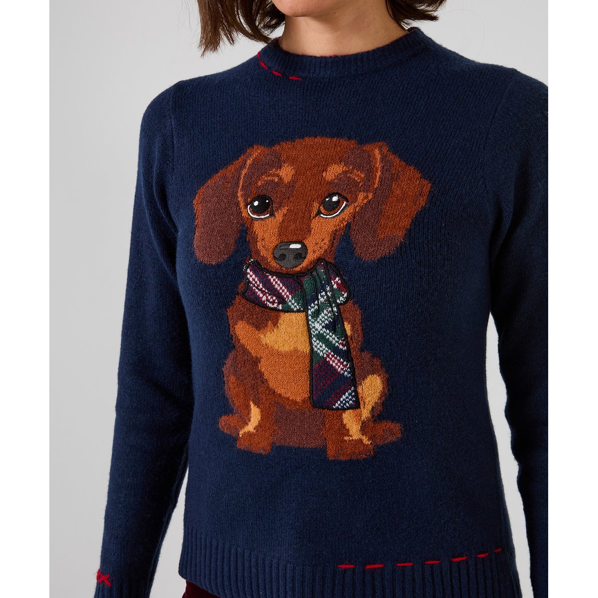 Pull Brodé Teckel Trixie bleu, JOE BROWNS