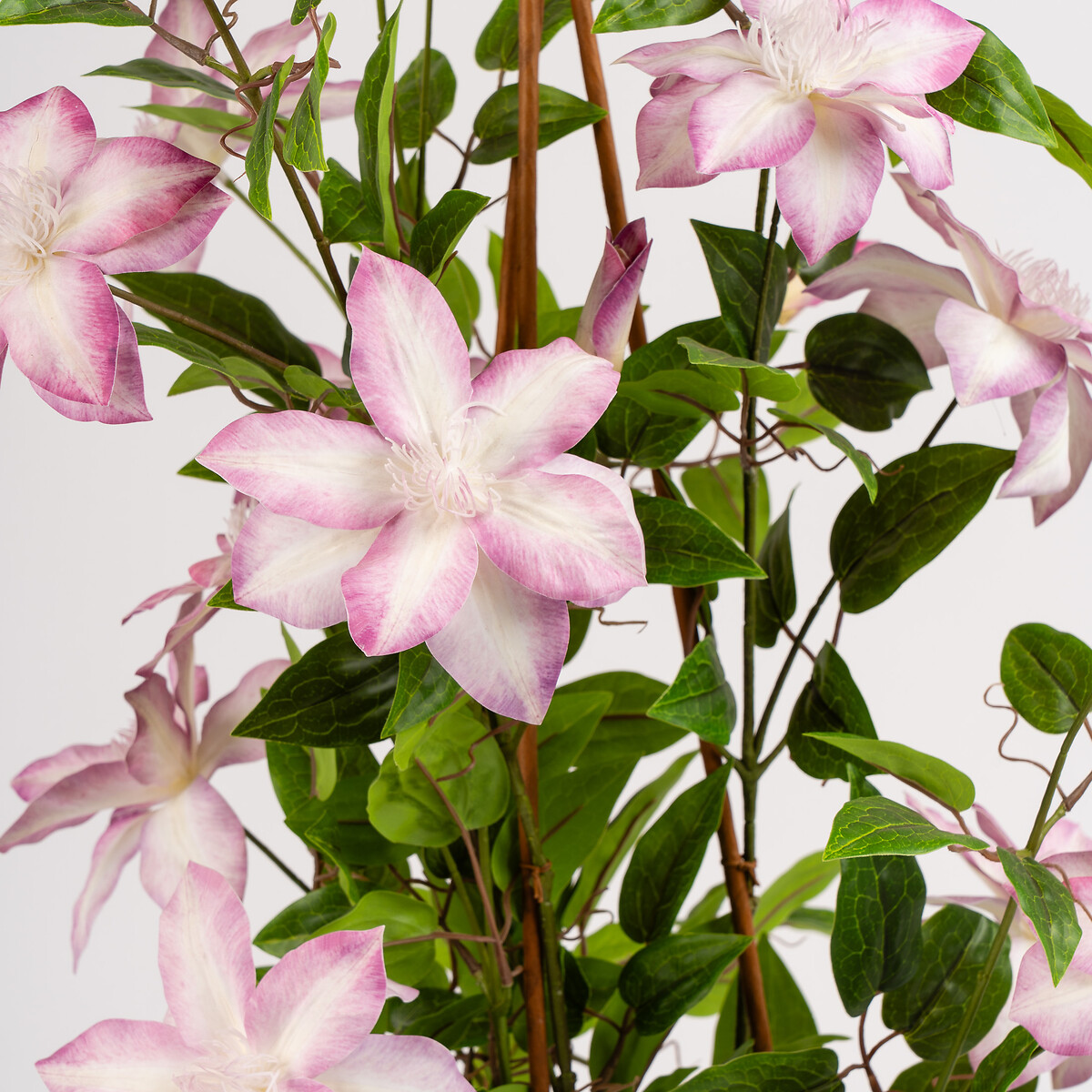 98cm Real Touch Climbing Clematis in White Pot pink, SO'HOME