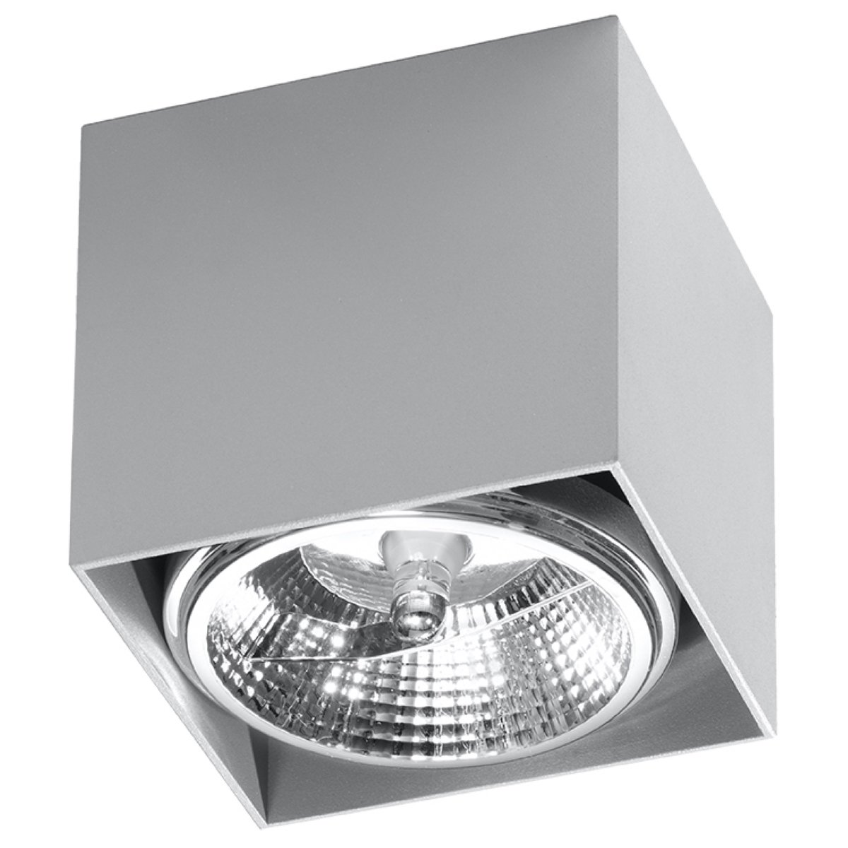 Plafonnier Aluminium Gris GU10/ES111 1 Blake gris, EDEN