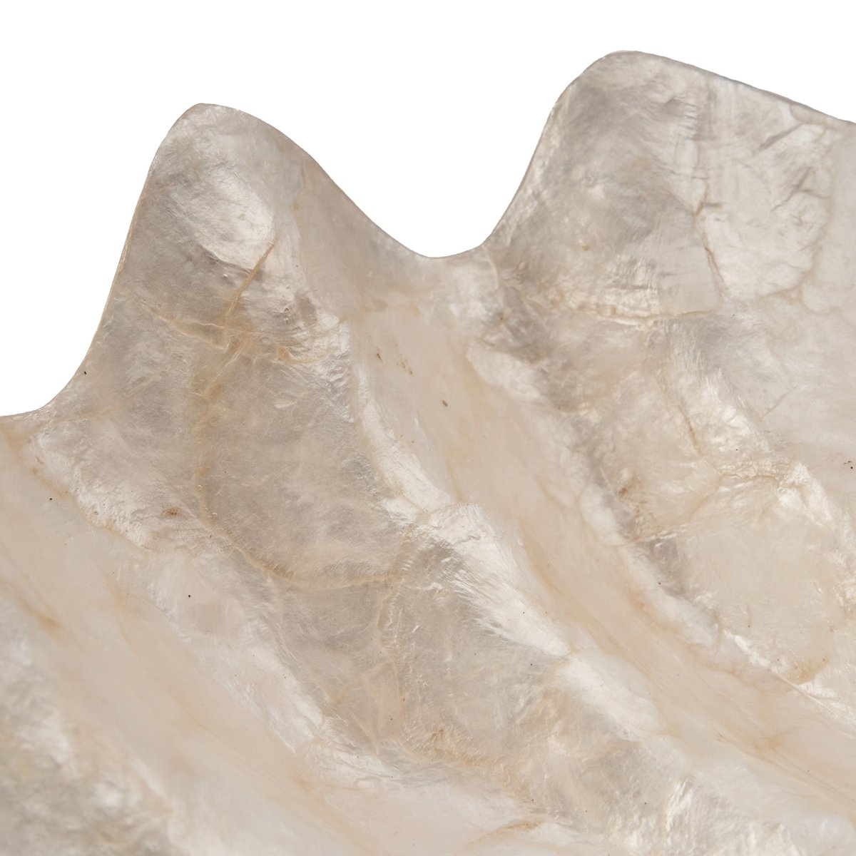 Porte-savon en coquillage MOTHER OF PEARL blanc, BAZAR BIZAR