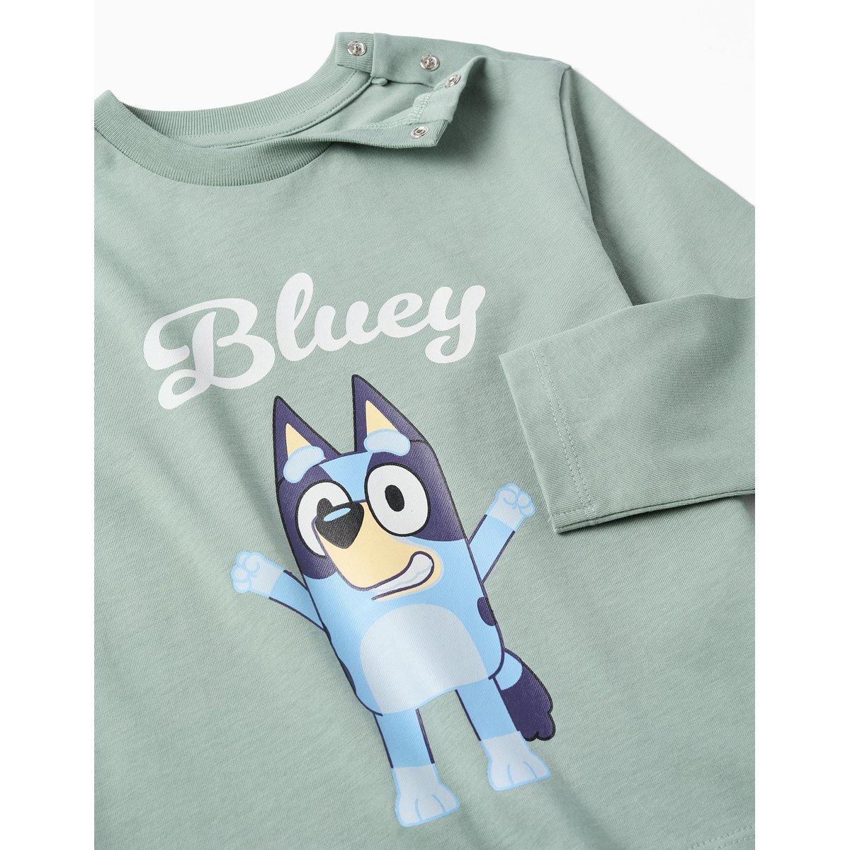 T-shirt en coton à manches longues et imprimé Bluey vert, ZIPPY