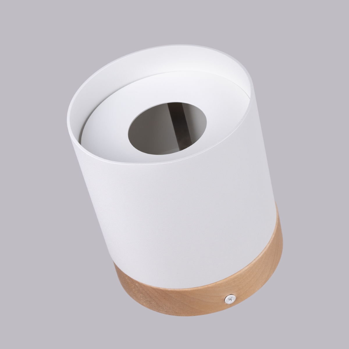 Plafonnier Bois Blanc/Bois Naturel GU10 1 Rif blanc, EDEN