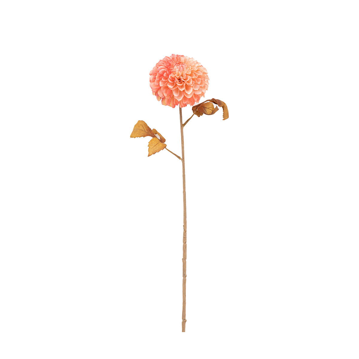 6pk 73cm Dahlia Faux Stems apricot, ÉDITÉ