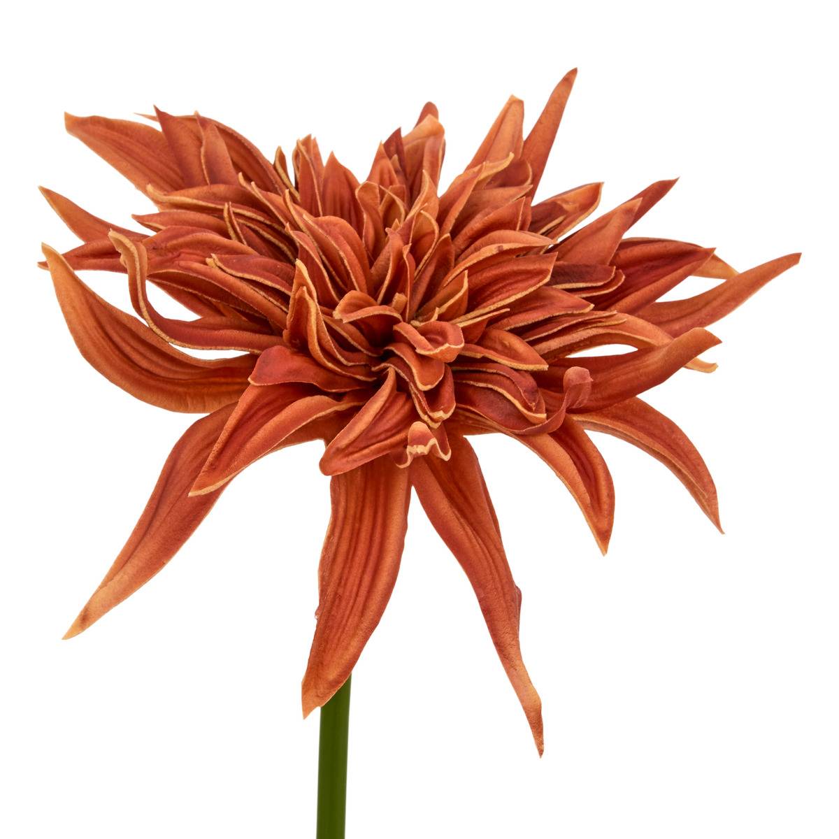 Tige décorative Homy H.55cm modèle b, ATMOSPHERA