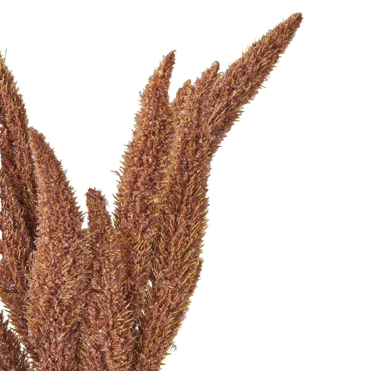 Set of 6 63cm Mulberry Brown Foxtail Hand-Tied 3 Stem Bundles brown              , ÉDITÉ
