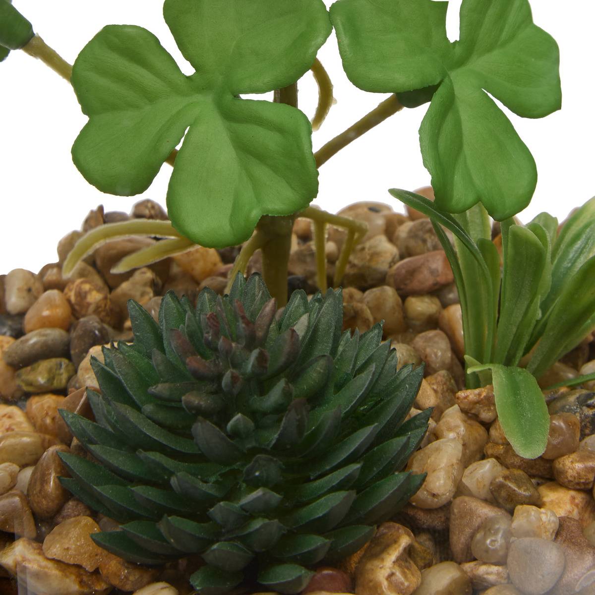 Terrarium WILO vert trèfle, ATMOSPHERA