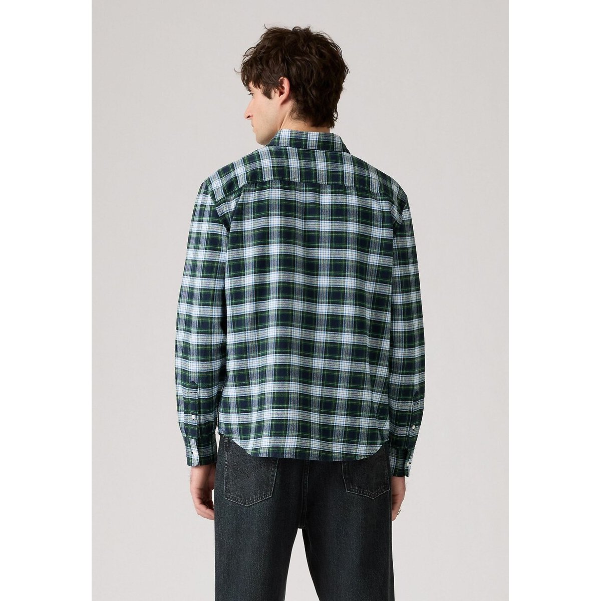 Authentiek button down overhemd geruit groen, LEVI'S