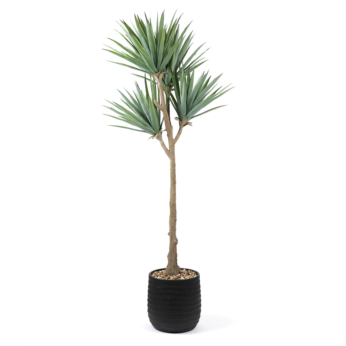 165cm Artificial UV Aloe in Black Ridged Pot green, SO'HOME