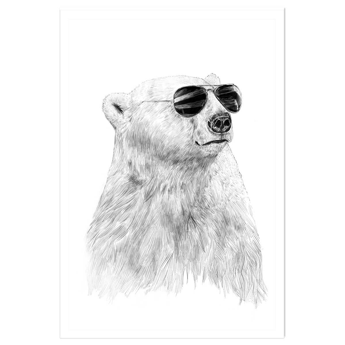 Affiche enfant ours polaire et lunette affiche seule, HEXOA