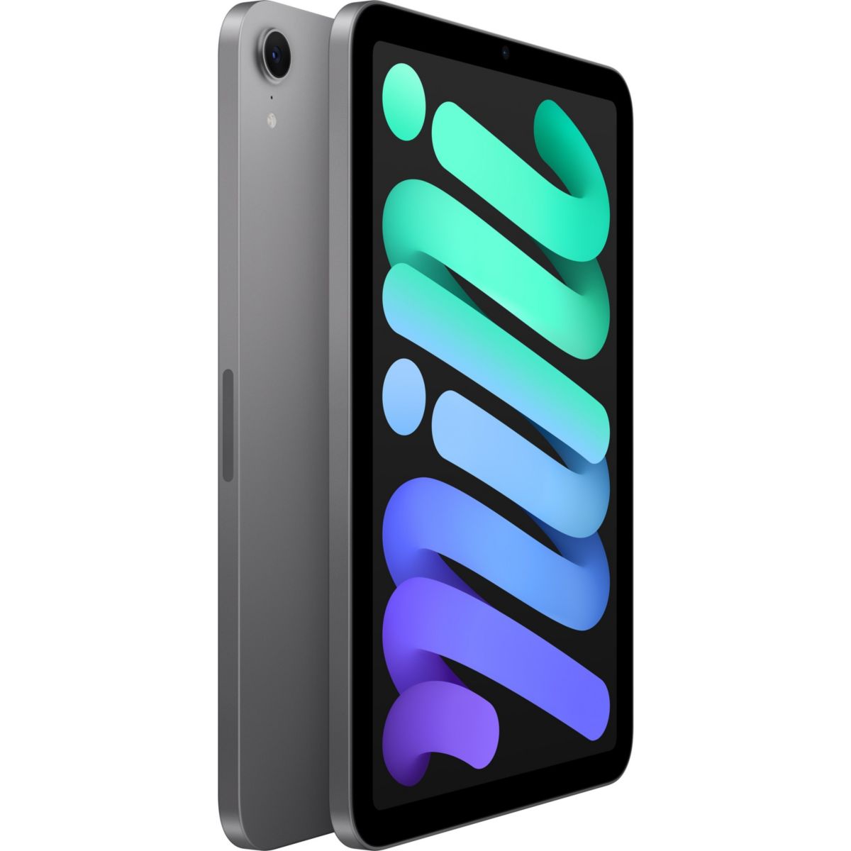 Tablette Apple Mini 128Go Gris sidéral gris, APPLE