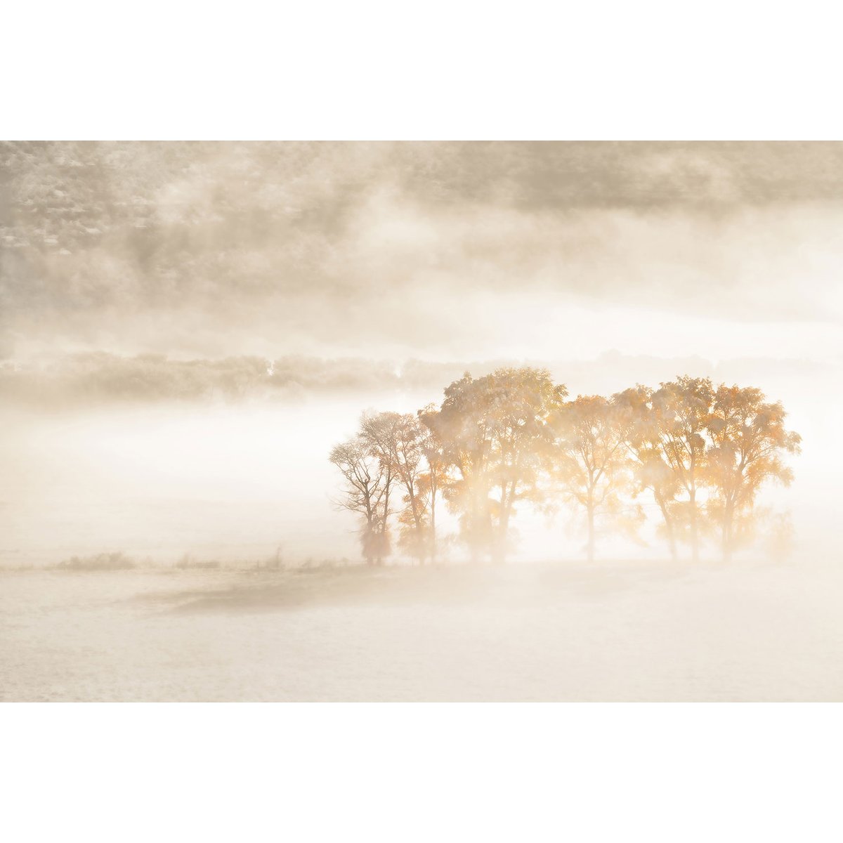 Tableau terre du vent tableau alu dibond, HEXOA