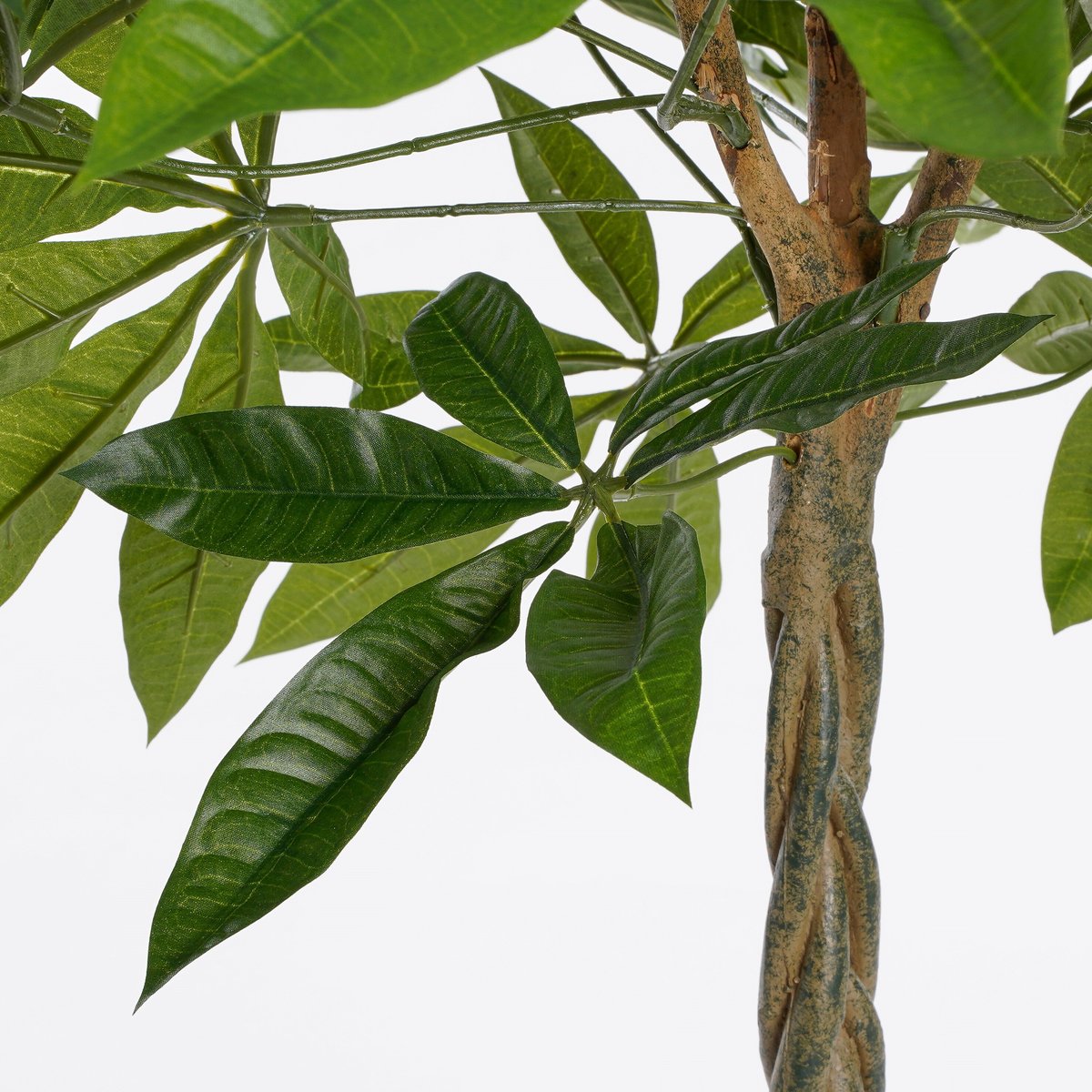 Plante artificielle PACHIRA vert, MICA DECORATIONS