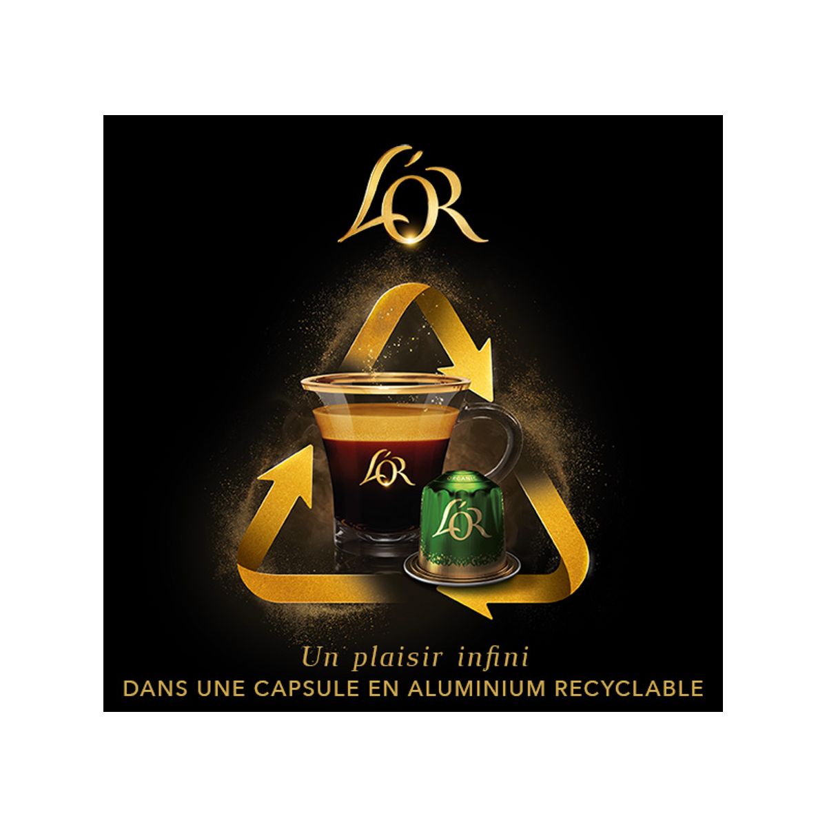 Capsules Espresso LUNGO PROFONDO x50 260g couleur unique, L'OR