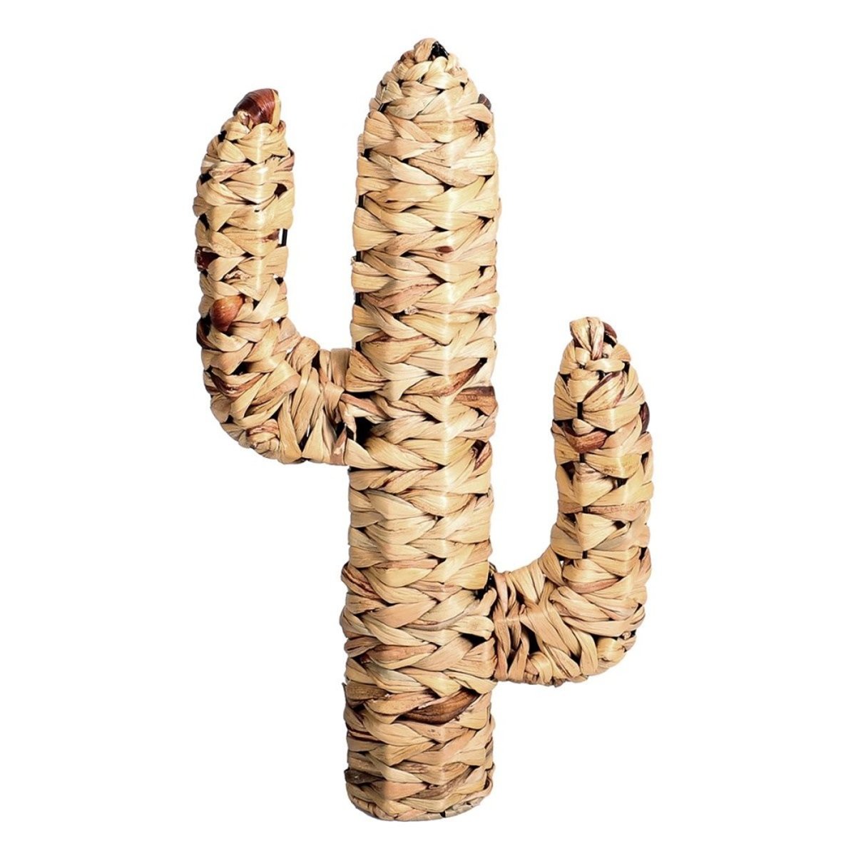 Cactus en jacinthe d'eau H45 beige, DECORATIE