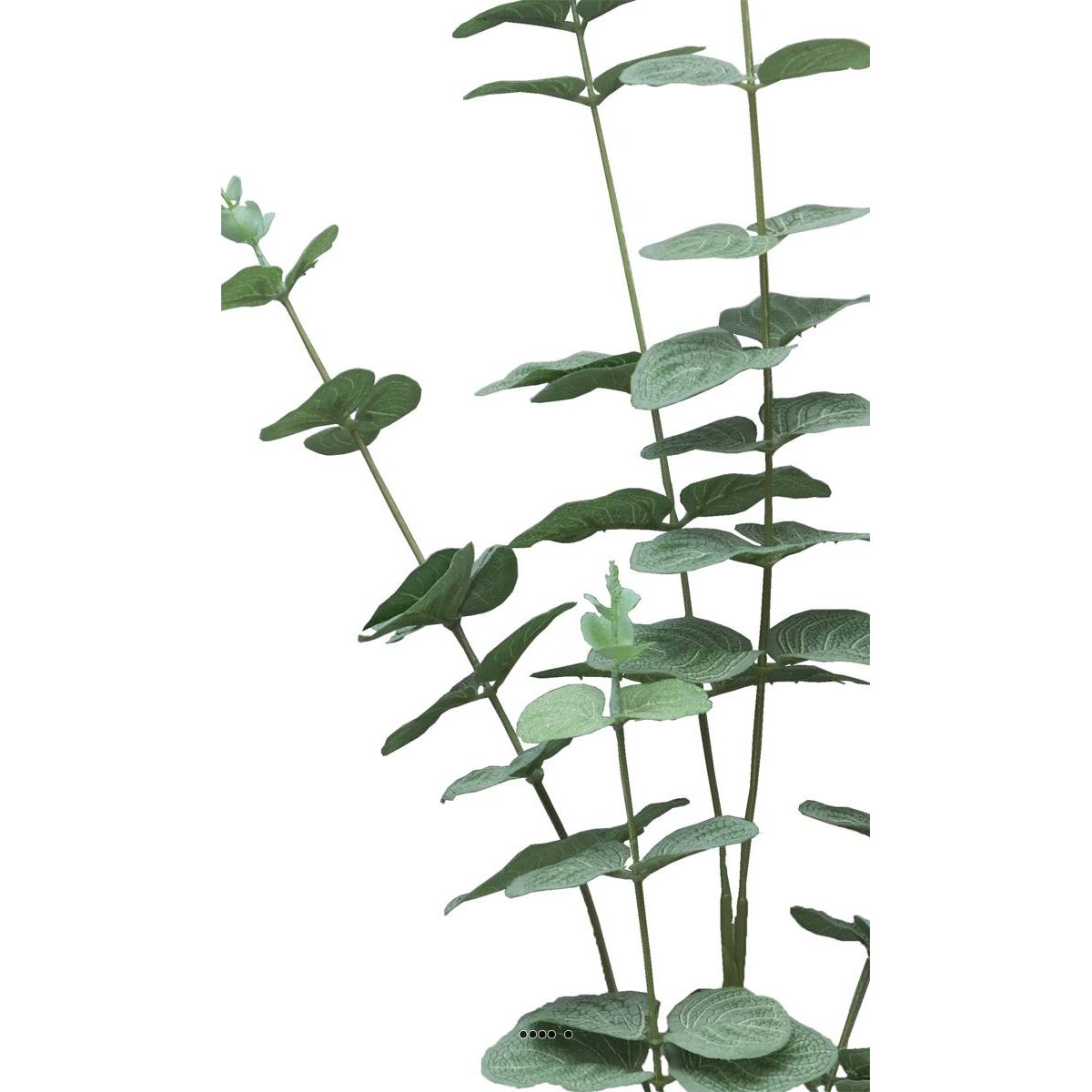 Eucalyptus artificiel en branche, 5 ramure v002239, ARTIFICIELLES