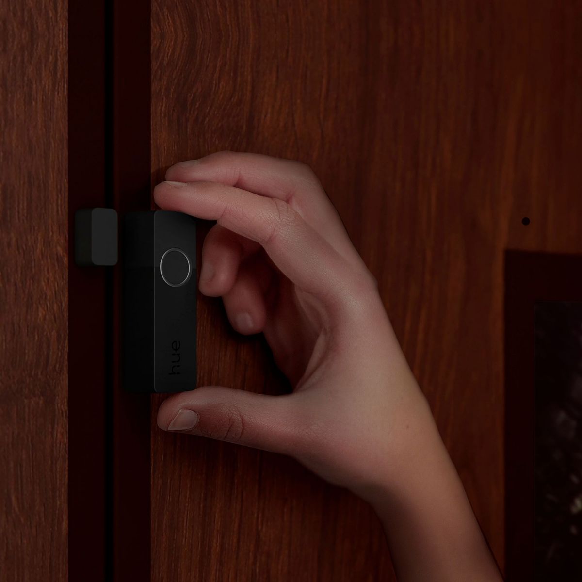 Détecteur d'ouverture SECURE Noir couleur unique, PHILIPS HUE