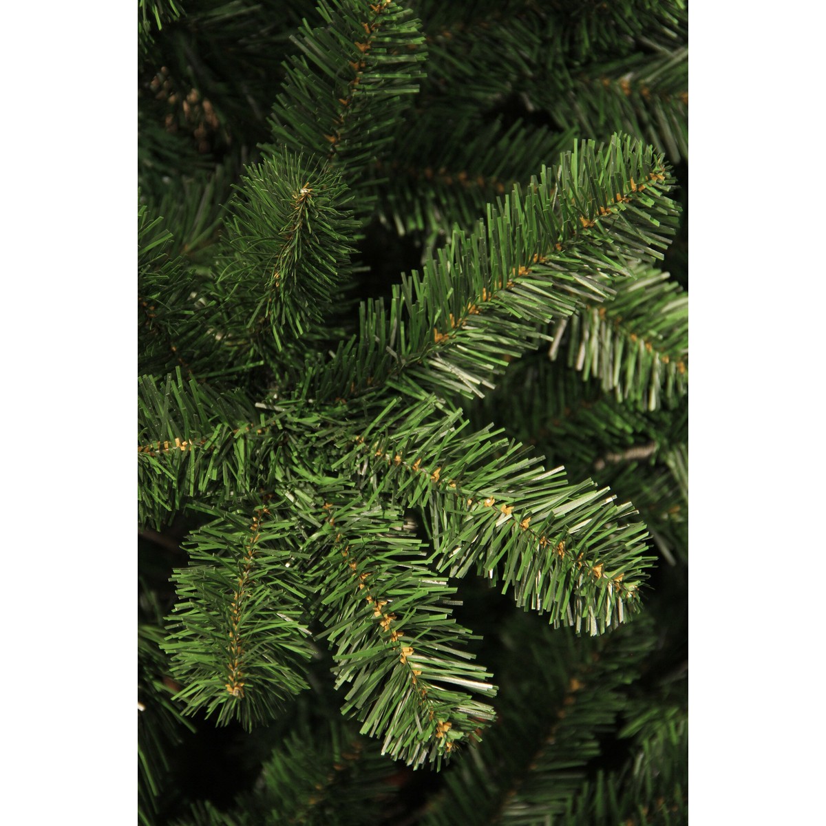 Sapin de Noël H185 cm CHARLTON vert, BLACK BOX TREES