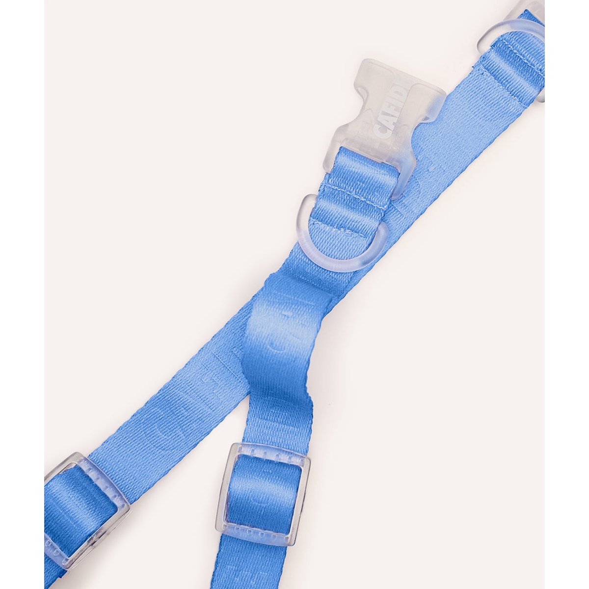 Collier pour chien, ONA bleu, CAFIDE