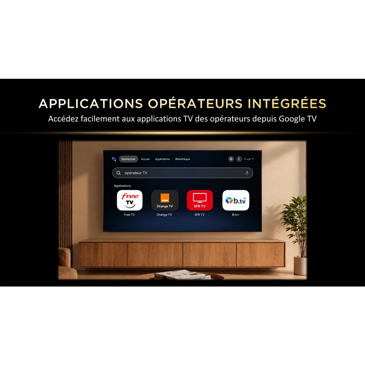 TV LED 55P6L (2026) 55" (140 cm) couleur unique, TCL