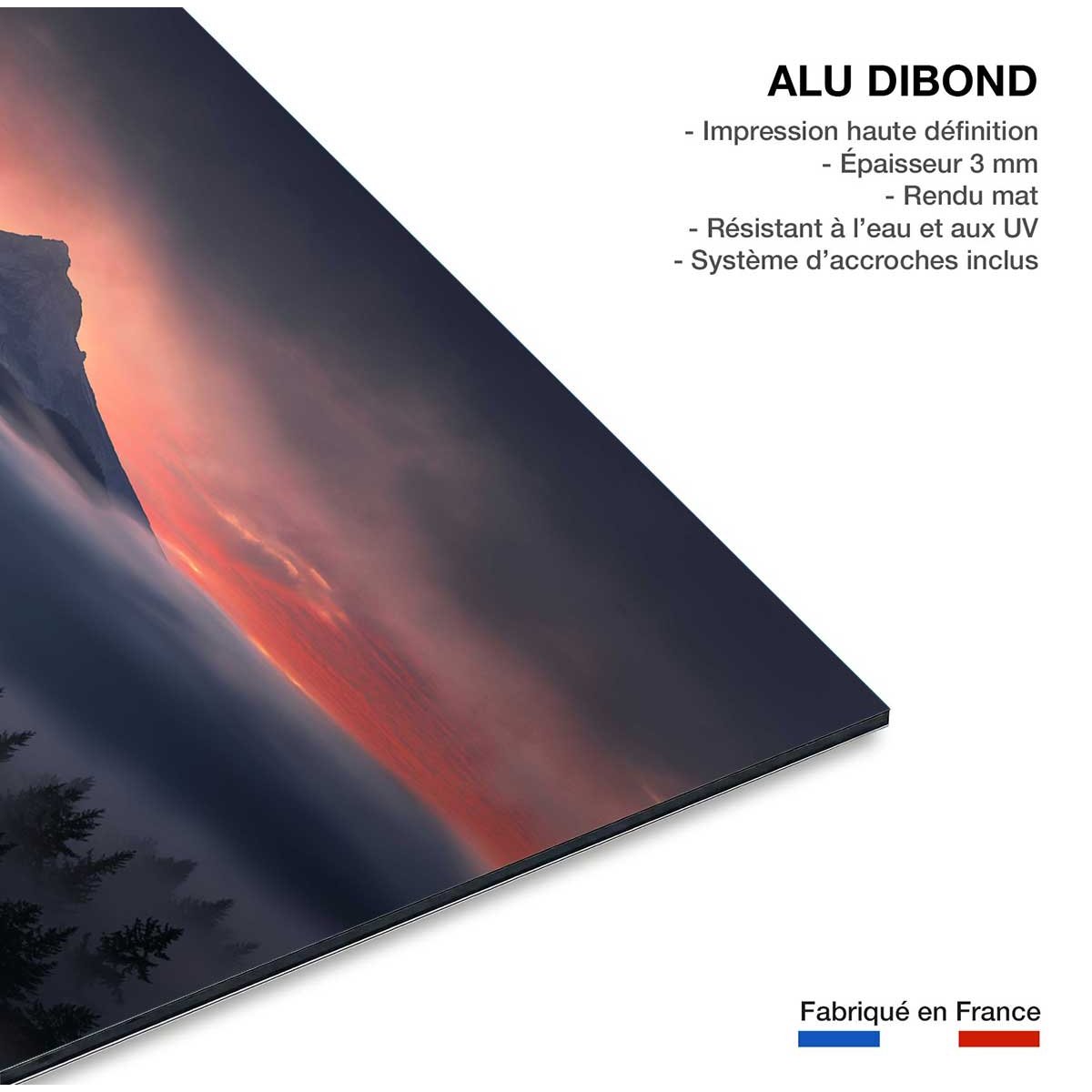 Tableau Brume en Oregon tableau alu dibond, HEXOA