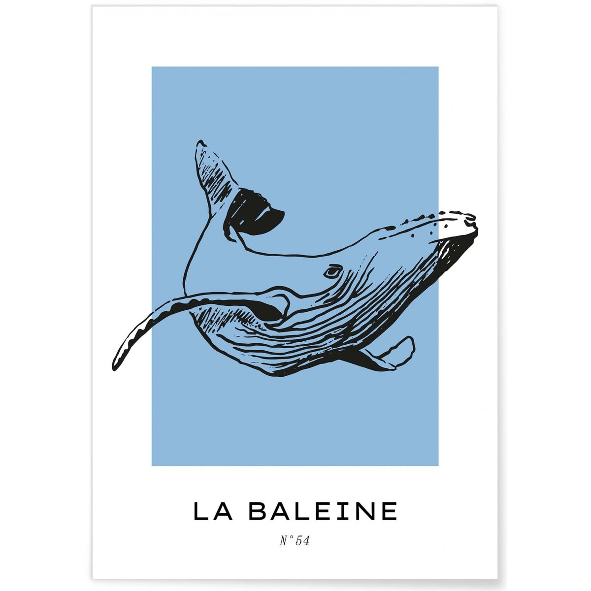 Affiche La baleine blanc, L'AFFICHERIE