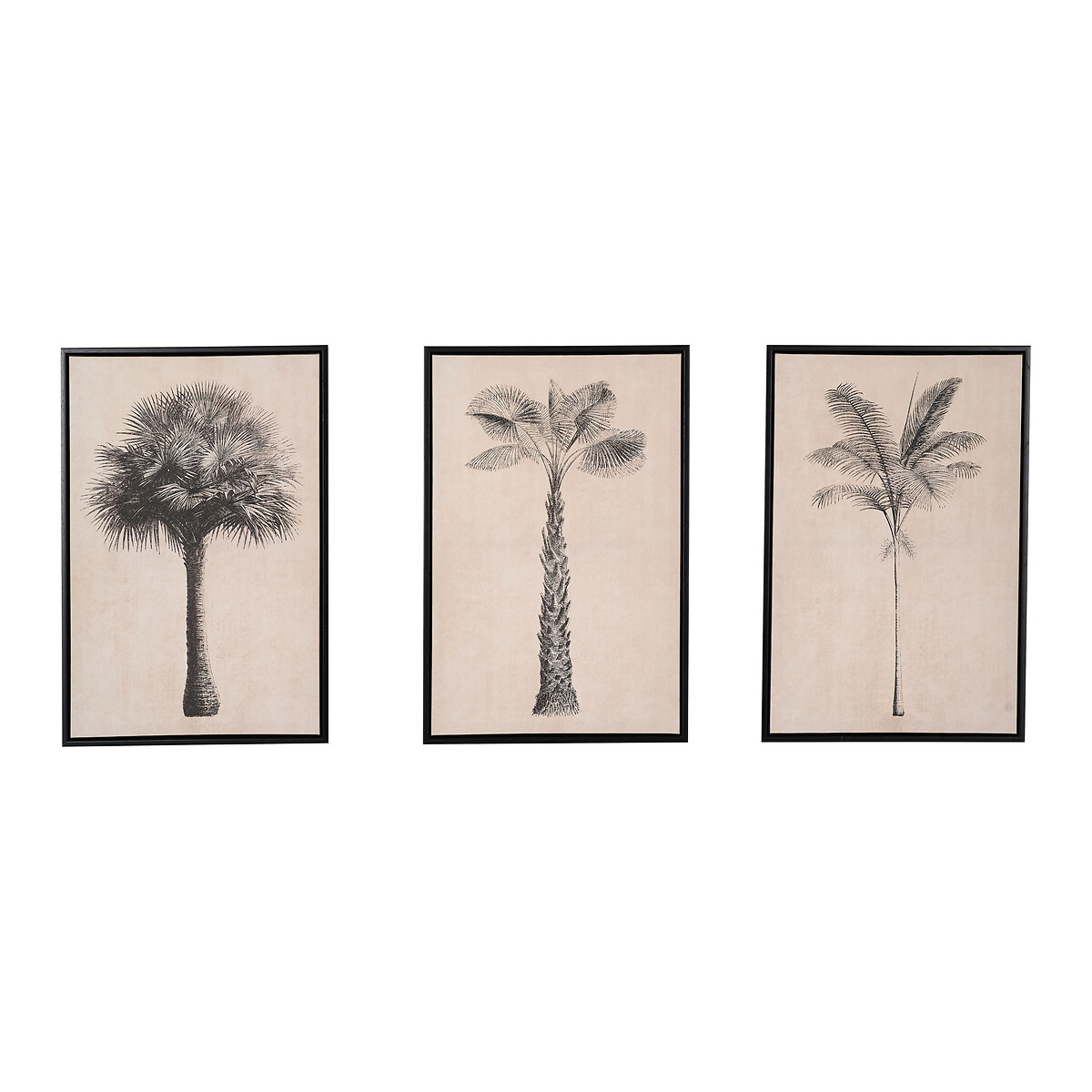 Set of 3 Natural and Black Palm Tree Print Canvases with Black Frames natural, SO'HOME