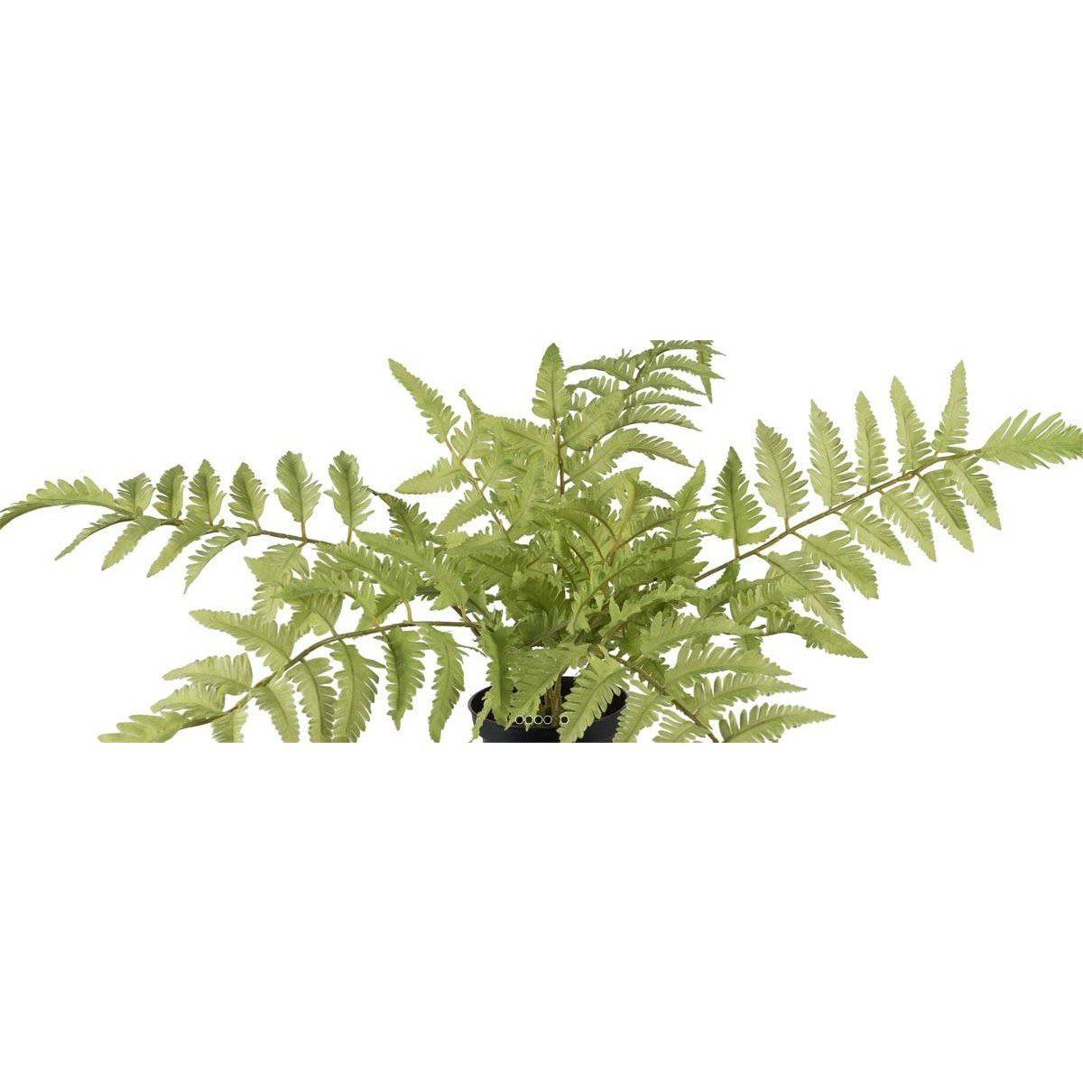 Fougère des forêts osmuda regalis artificiel v002239, ARTIFICIELLES