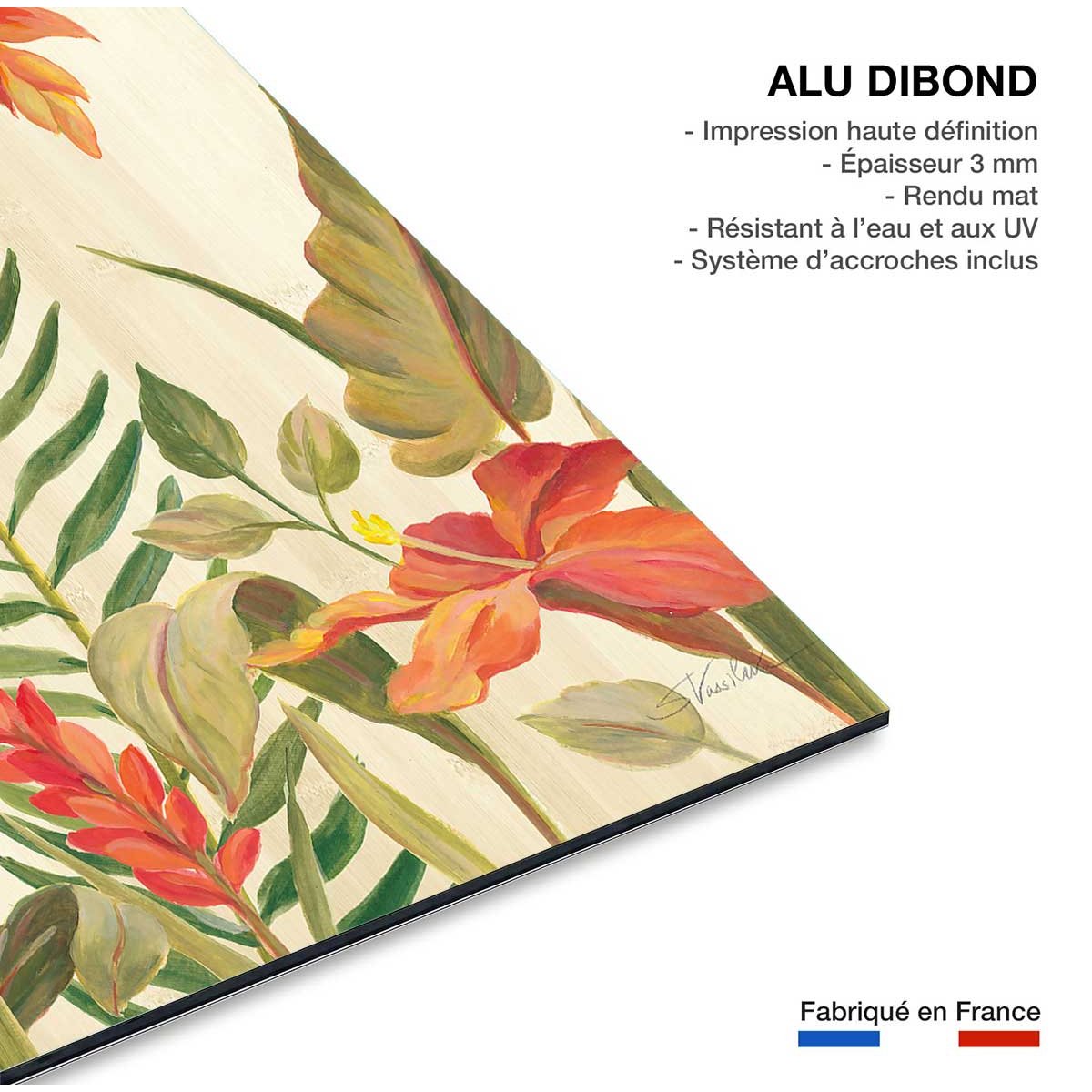 Tableau Oiseaux du paradis en aquarelle tableau alu dibond, HEXOA