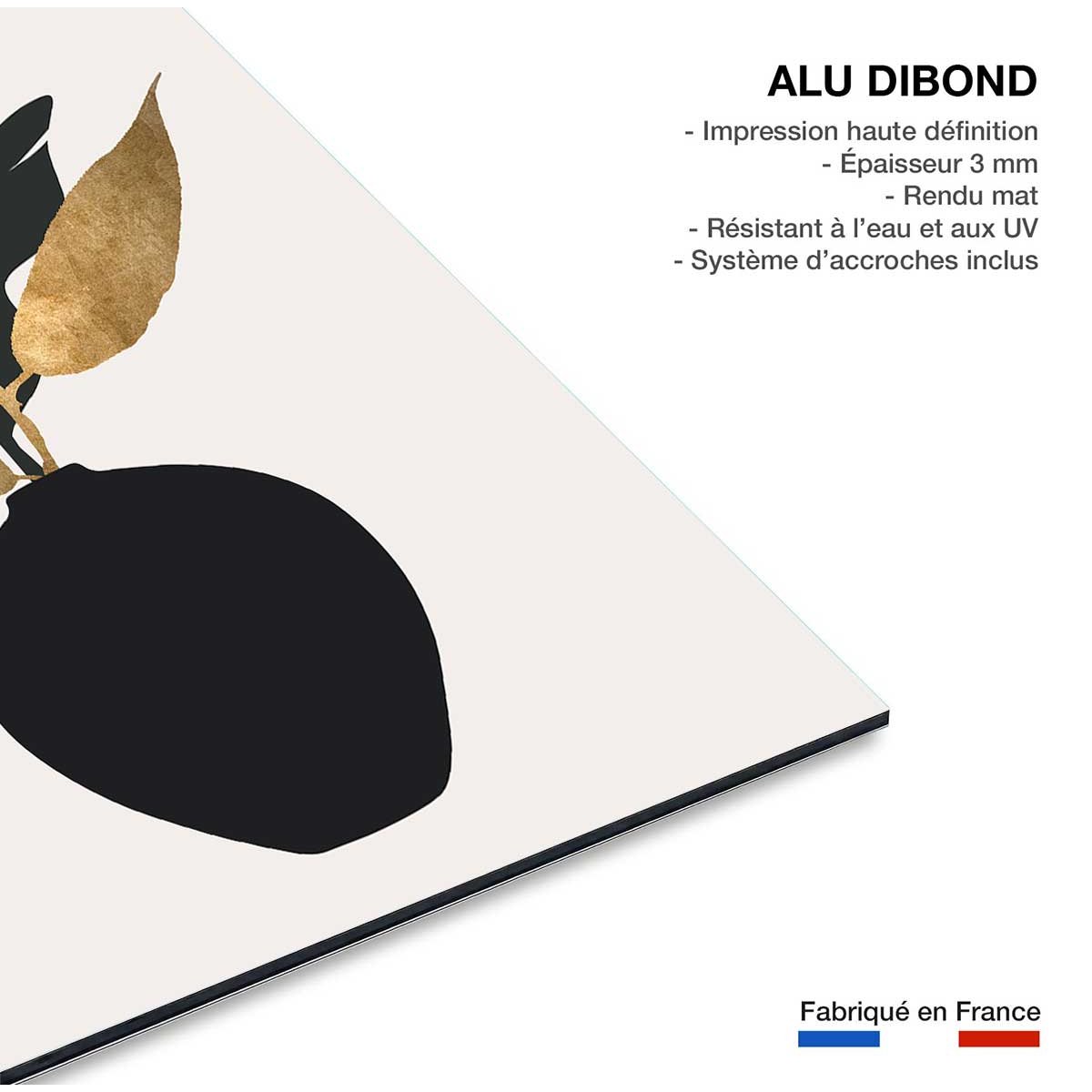 Tableau poterie et fleurs séchées tableau alu dibond, HEXOA