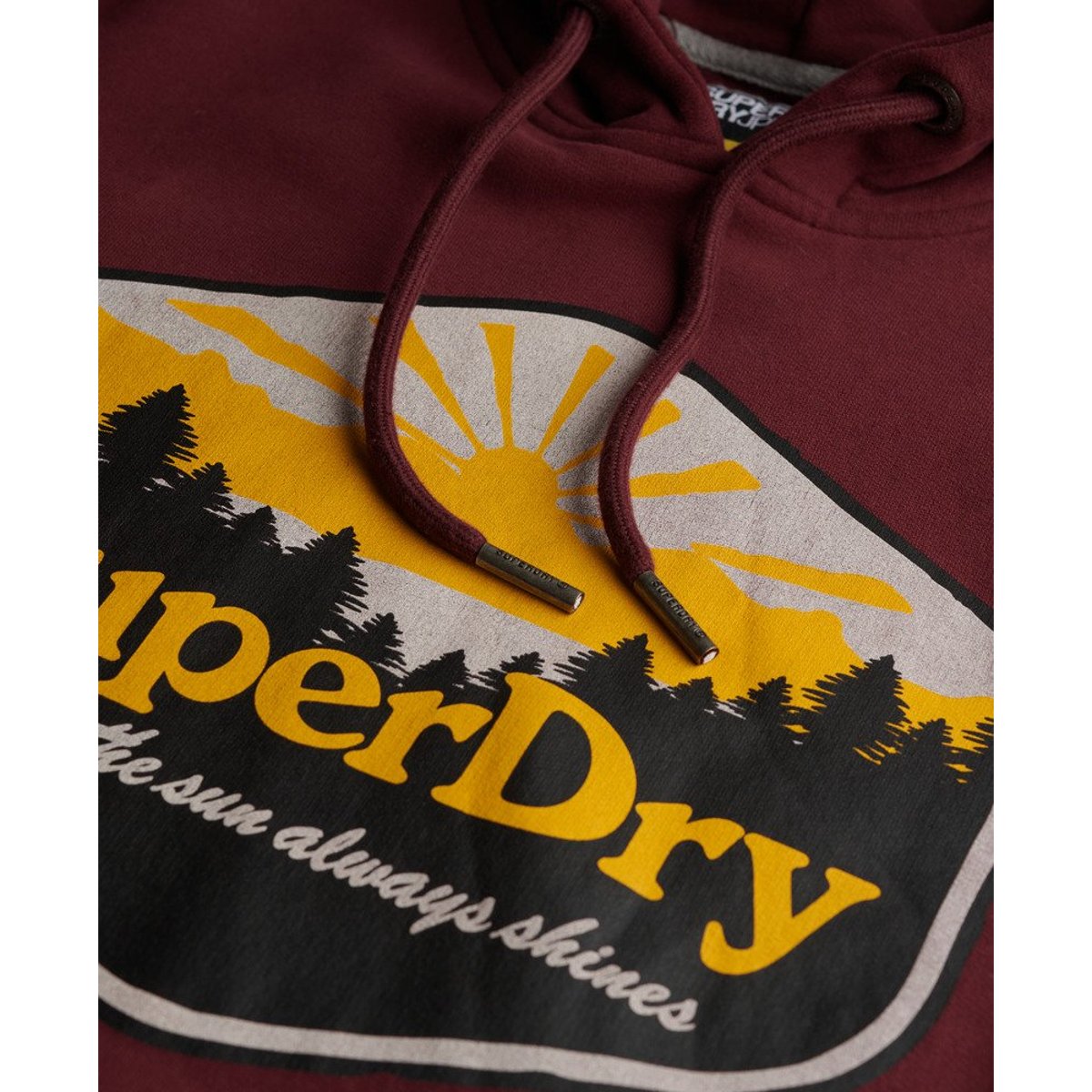 Sweat à capuche  Sun Tab rouge porto, SUPERDRY