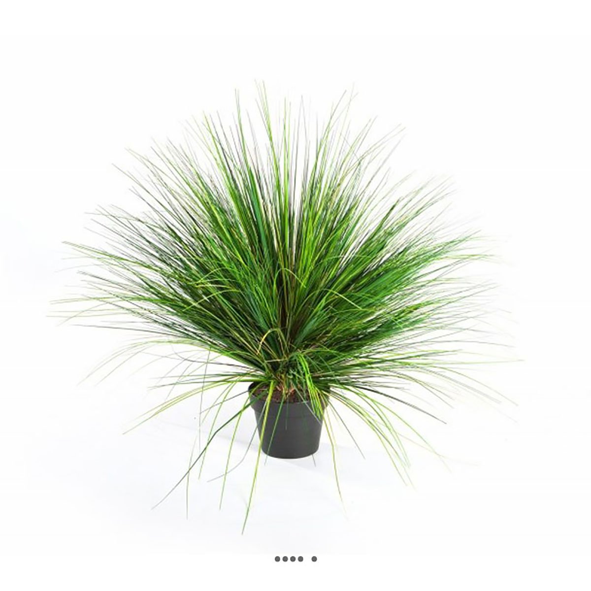 Graminée en pot factice D 65 cm vert-rouge couleur unique, ARTIFICIELLES