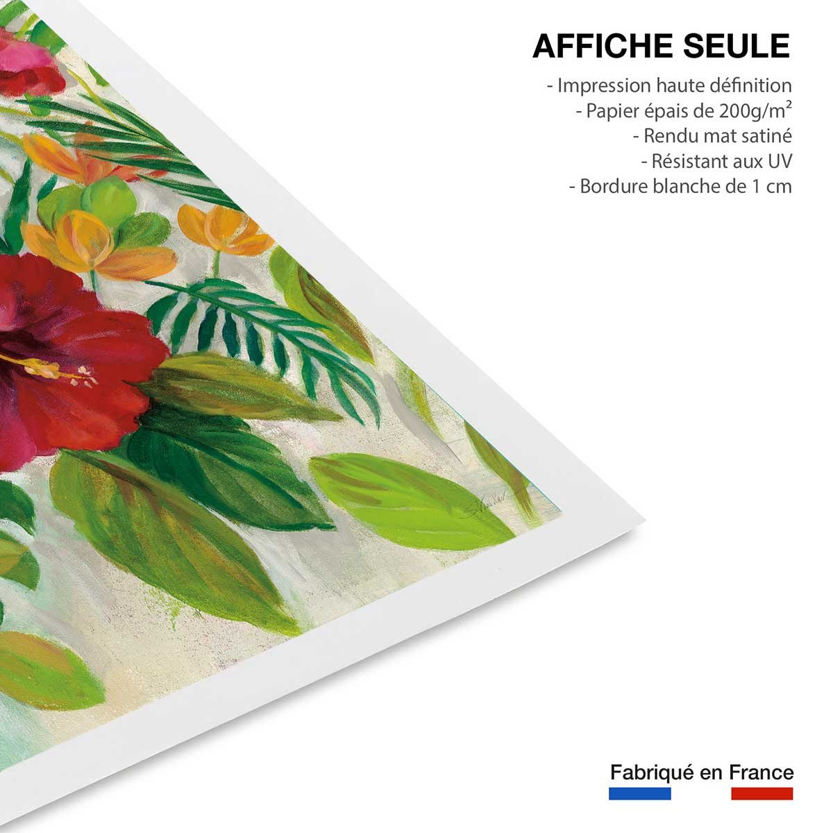 Poster Hibiscus des tropiques affiche seule, HEXOA