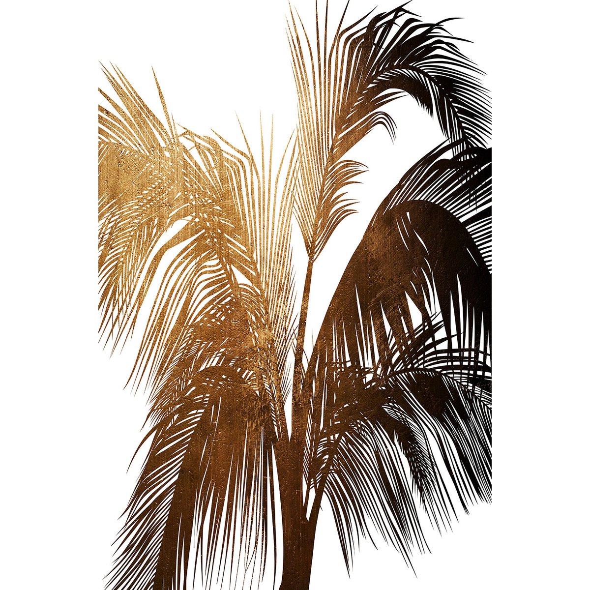 Tableau tropicale palme de bronze tableau alu dibond, HEXOA