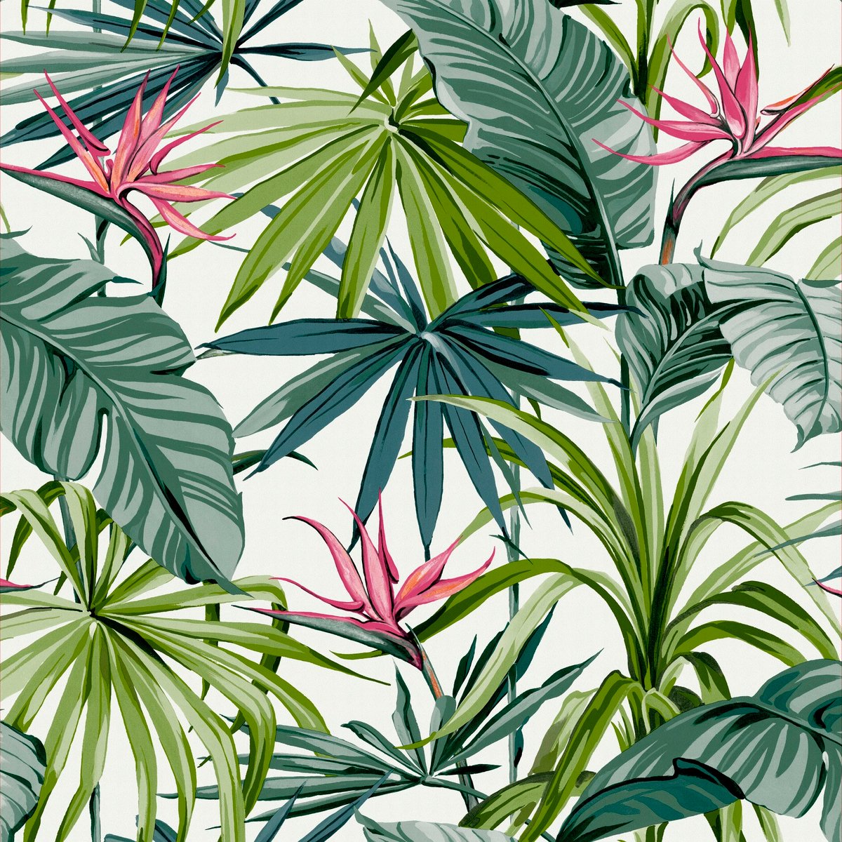 Papier peint Oiseaux Paradis vert/rose, WOW