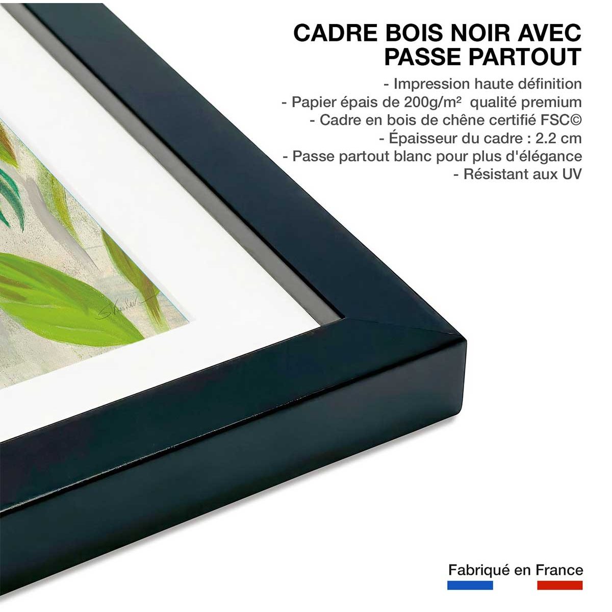 Poster Hibiscus des tropiques affiche + cadre en bois - noir, HEXOA