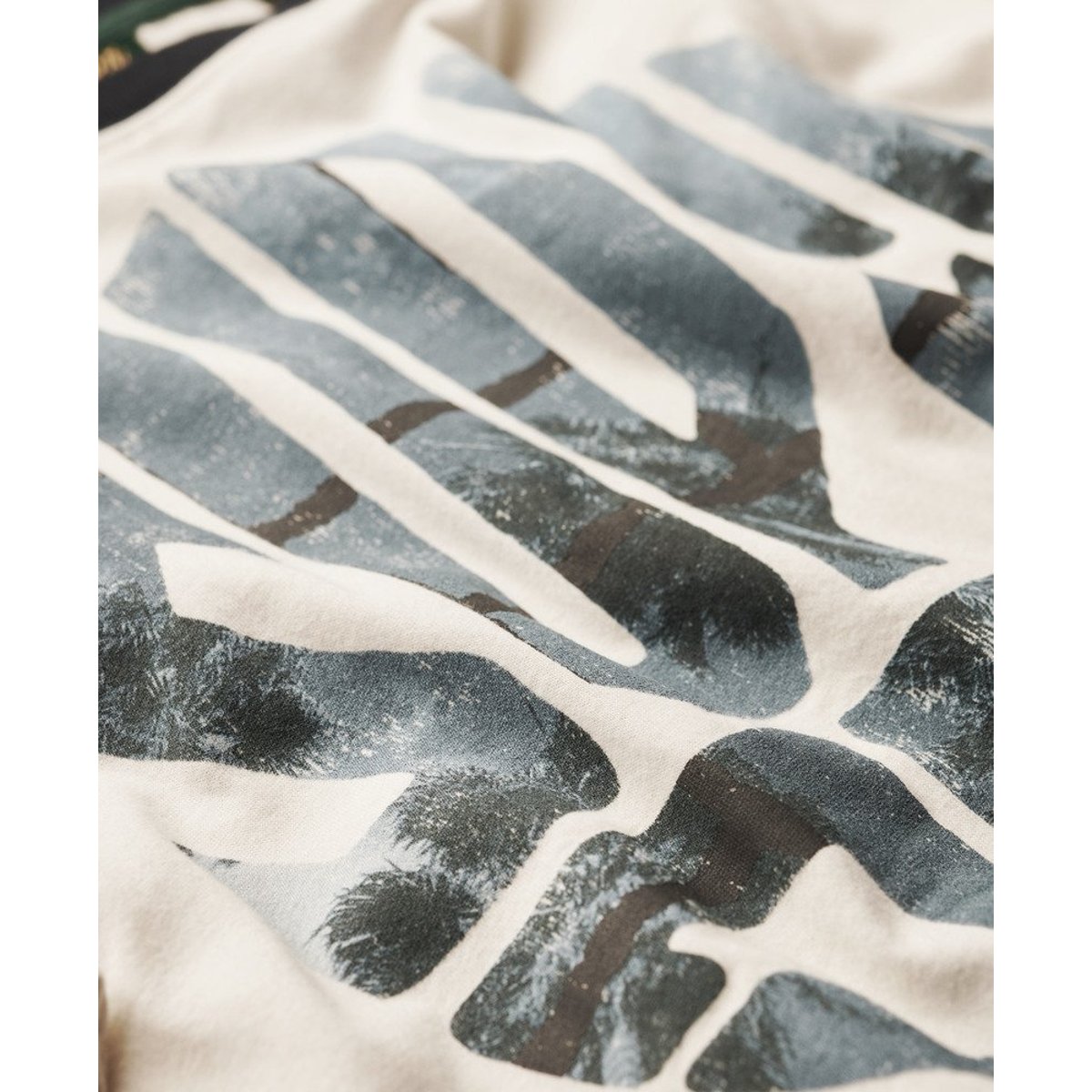T-shirt à logo photographique blanc hivernal, SUPERDRY
