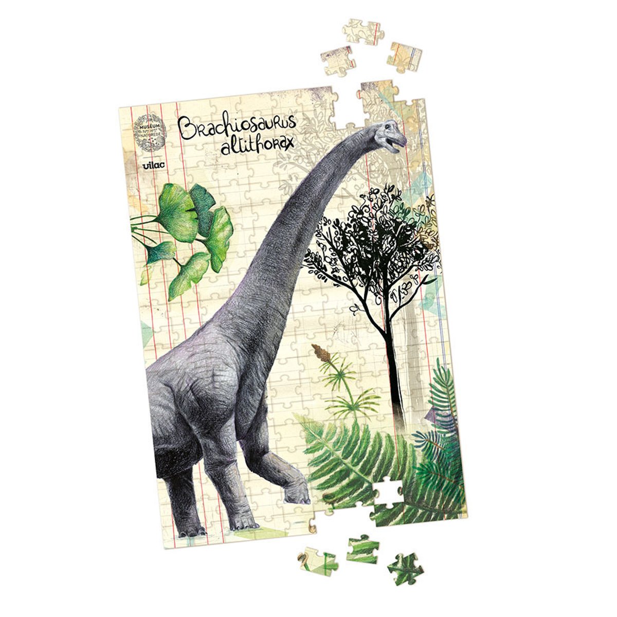 Coffret 3 puzzles dinosaures et posters beige, VILAC