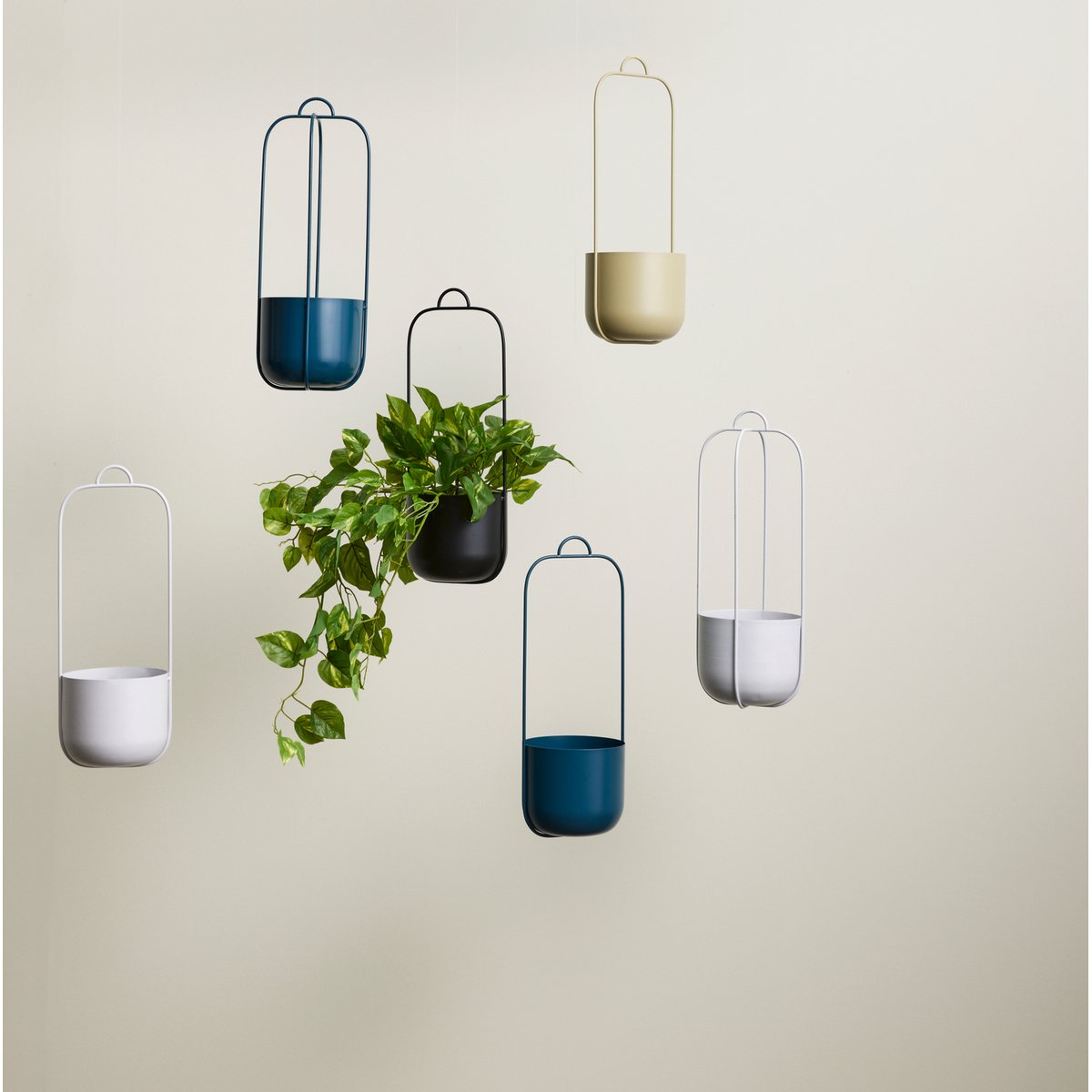 Suspension pour plantes en fer LOTUS noir, HUBSCH