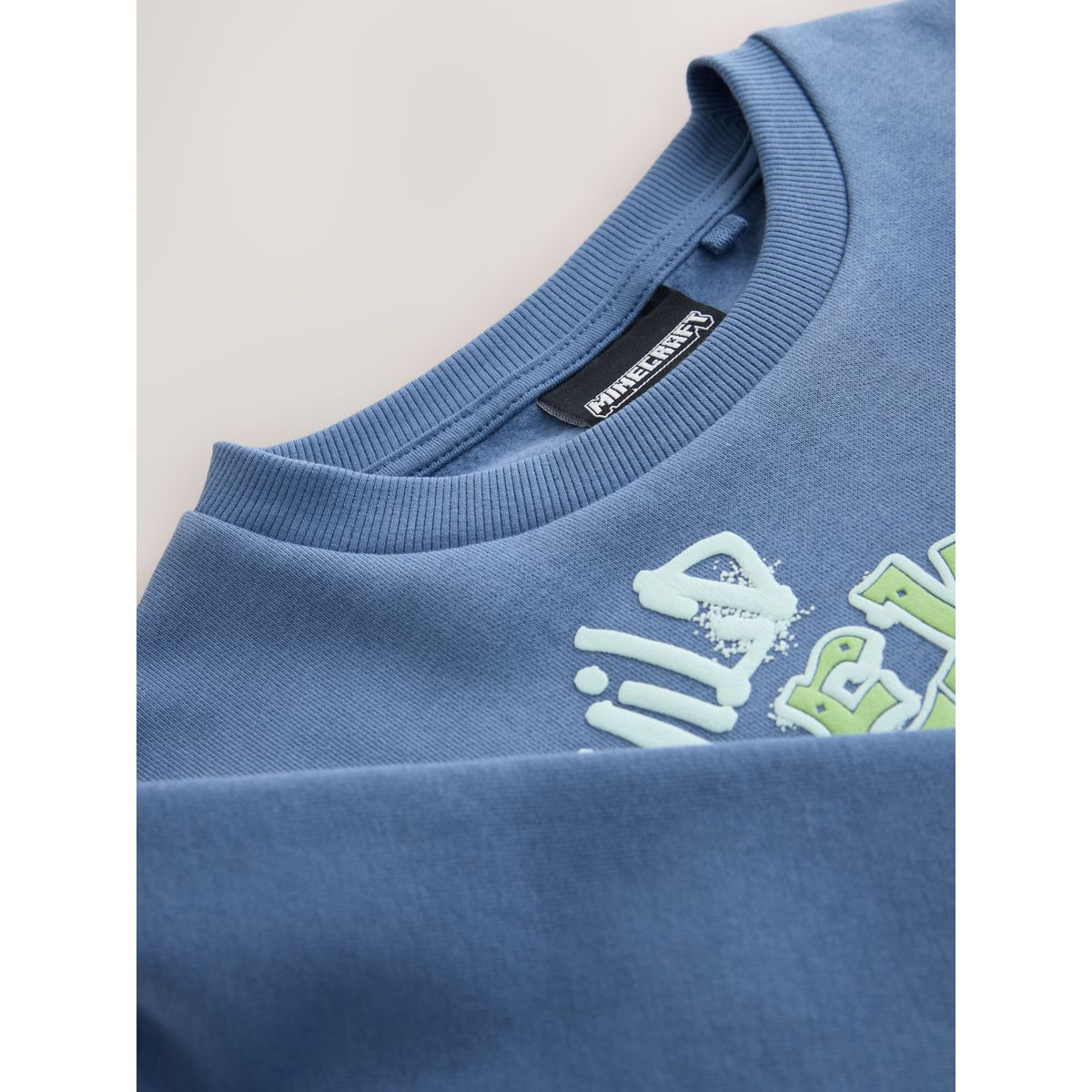 Sweat à capuche ras du cou minecraft bleu, NEXT